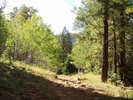 photo thumbnail #1