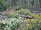 photo thumbnail #5