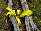 photo thumbnail #2
