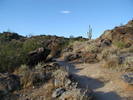 photo thumbnail #1