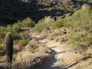 photo thumbnail #4