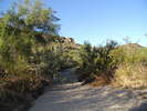 photo thumbnail #6