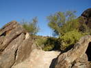 photo thumbnail #7