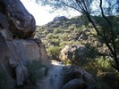photo thumbnail #8