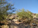 photo thumbnail #10