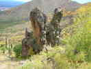 photo thumbnail #6