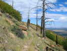 photo thumbnail #7