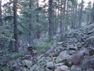 photo thumbnail #2