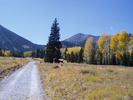 photo thumbnail #3