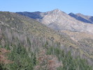photo of comment