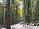 photo thumbnail #15