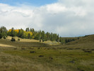 photo thumbnail #8