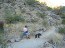 photo thumbnail #3