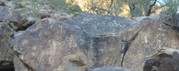 photo thumbnail #5