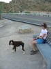 photo thumbnail #8