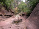 photo thumbnail #10