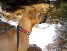photo thumbnail #1