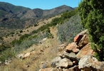photo thumbnail #2
