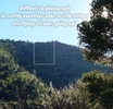 photo of comment