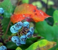 photo thumbnail #3