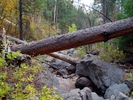 photo thumbnail #3