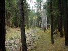 photo thumbnail #5