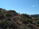 photo thumbnail #13