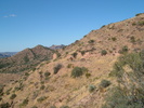 photo thumbnail #15