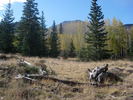photo thumbnail #2