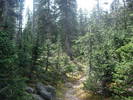 photo thumbnail #4