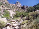 photo thumbnail #6