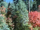 photo thumbnail #4