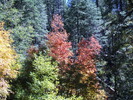 photo thumbnail #7