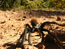 photo thumbnail #1