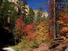 photo thumbnail #1