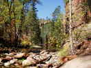 photo thumbnail #7