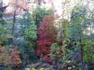 photo thumbnail #14