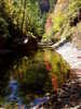 photo of comment
