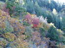 photo thumbnail #10