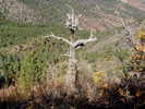 photo thumbnail #12