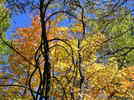photo thumbnail #8
