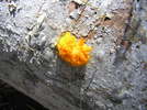 photo thumbnail #12