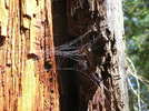 photo thumbnail #13