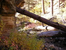 photo thumbnail #7