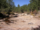 photo thumbnail #12