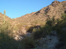 photo thumbnail #1