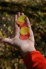 photo thumbnail #3