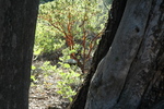 photo thumbnail #6