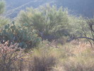 photo thumbnail #1