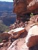 photo thumbnail #7
